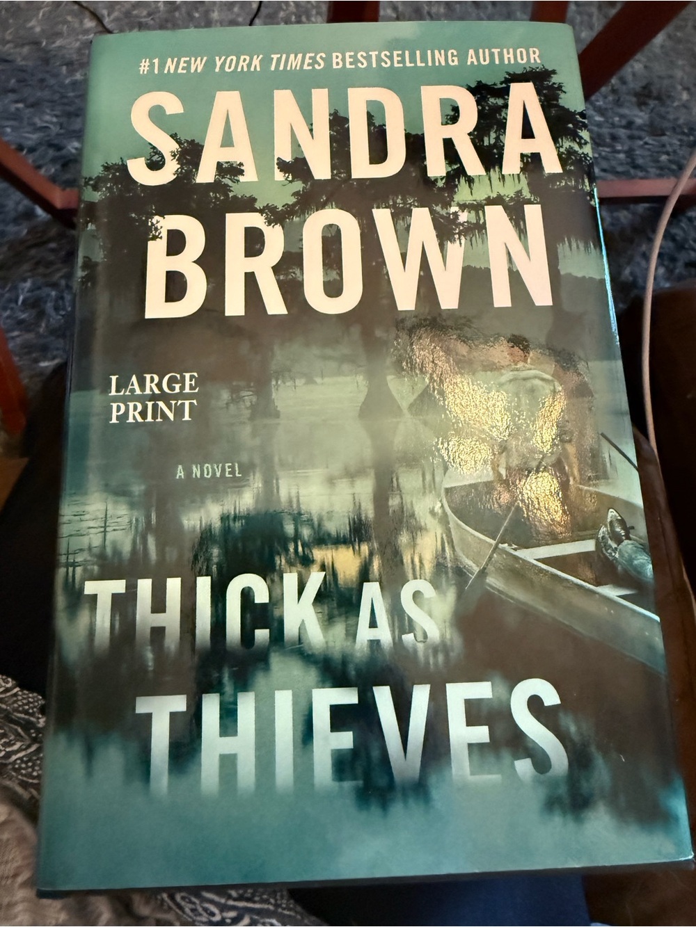 Hardcover Book Thick as Thieves
